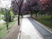 Imagine atasata: Tinereții - Traian (4).JPG